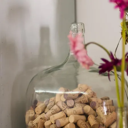 Casa de hóspedes Baga De Sal Wine Aveiro