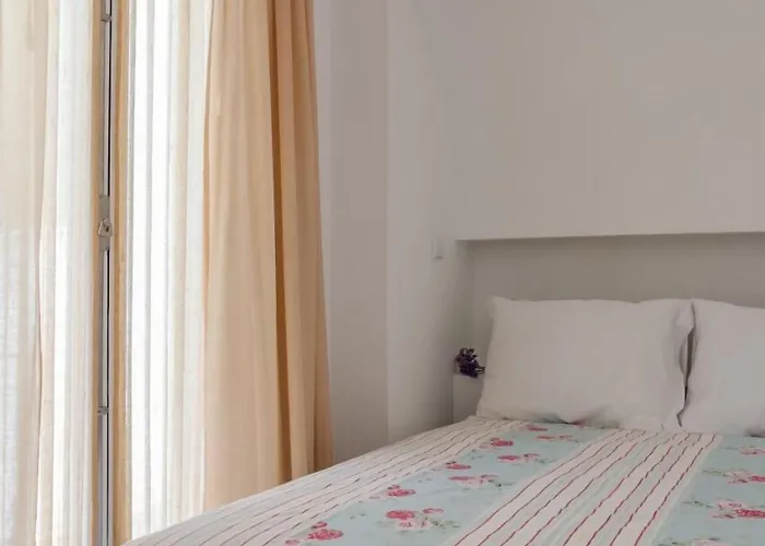 Baga De Sal Wine Aveiro