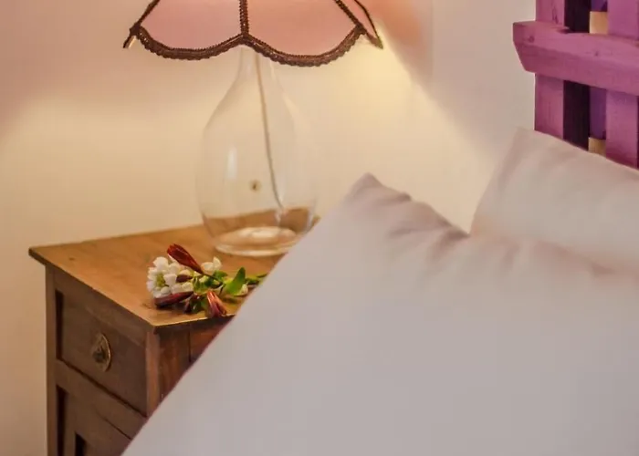 Baga De Sal Wine 3* Aveiro