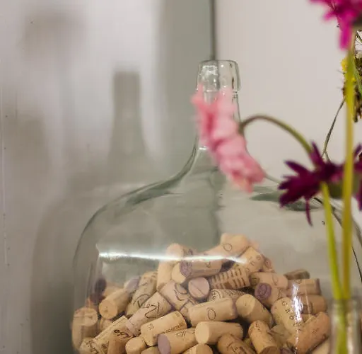 Casa de hóspedes Baga De Sal Wine Aveiro